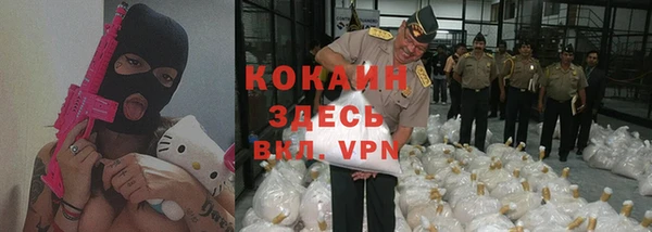 крисы Алексин