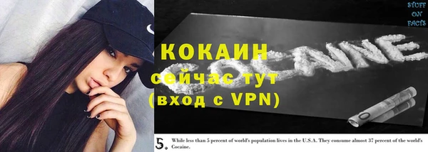 прущие грибы Приозерск