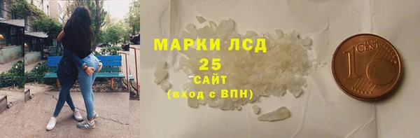 шишки Абаза