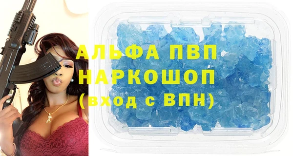 прущие грибы Приозерск