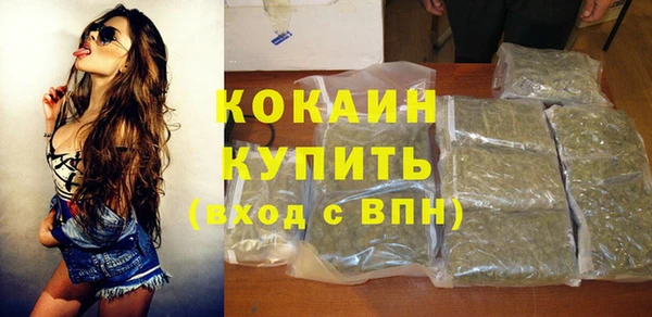 прущие грибы Приозерск