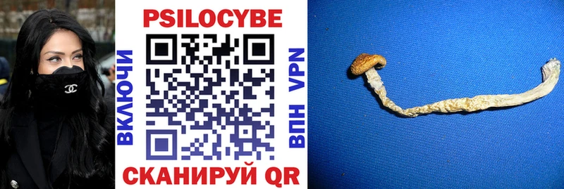 Галлюциногенные грибы Psilocybe  Зеленокумск 