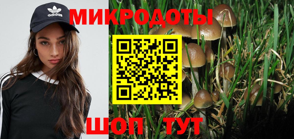 Галлюциногенные грибы Cubensis Зеленокумск