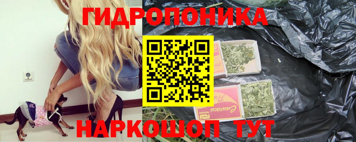 Бошки Шишки план Зеленокумск
